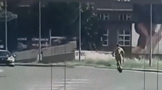 VIDEO: Pochybnosti zmietli zo stola. Policajti zverejnili zábery superrýchlej jazdy kolobežkára