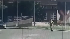 VIDEO: Pochybnosti zmietli zo stola. Policajti zverejnili zábery superrýchlej jazdy kolobežkára