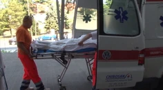 Mestskí policajti v Košiciach postrelili agresívnych záhradkárov