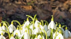 Telo dostane zabrať. Rozdiel medzi nocou a dňom bude až 20  °C
