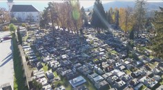 Aké budú tohtoročné Dušičky? Pred rokom sa na cintoríny pre opatrenia a zákaz vychádzania nemohlo