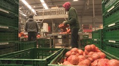 Budúci rok možno budeme cez niektoré sviatky a voľné dni pracovať. Štát totiž potrebuje peniaze