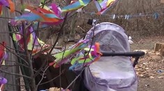 Tragédia na Ukrajine: Spiace bábätko zabila mačka