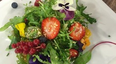 Ovocný frisse šalát so pšenom