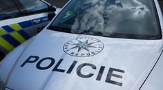 Matka bábätka, ktoré našli v kontajneri, sa k činu priznala. Hrozí jej výnimočný trest