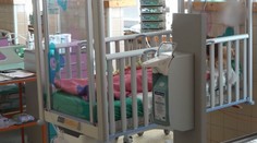 Pes napadol dievčatko (5), dohrýzol ju do hlavy a krku. Tu sú podrobnosti útoku