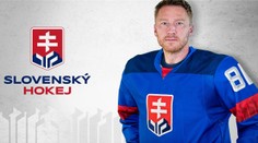 Nové logo sa nepáči rezortu školstva. Komisia preskúma, či hokejový zväz porušil zmluvu