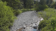 Nastal správny čas zvykať si. Klimatológovia varujú, že vytúžený dážď alebo sneh budú skôr raritou