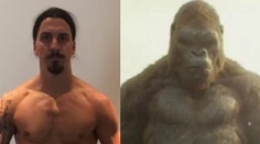 King Kong zverejnil koláž s Ibrahimovičom. Alebo to bolo naopak?