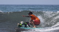 FOTO a VIDEO: Netradičné preteky na vlnách mora. V Kalifornii sa na surfoch predviedli psy