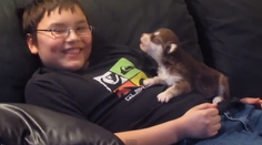 Rozkošné video: Šteniatko sa učí prvýkrát zavýjať