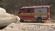 Nešťastie na východe Slovenska. Muž (†51) pílil strom a privalil ho ďalší