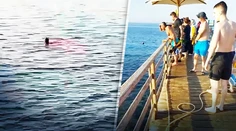 Plavčíci vysmiali ľudí, ktorí upozornili na žraloka. Typický Egypt, spamätali sa až po druhej obeti, hovorí turistka