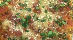 Kimchi kapusta s grilovanou sviečkovicou