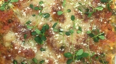 Kimchi kapusta s grilovanou sviečkovicou