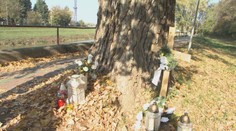 Tragický prípad, kedy zabil konár chlapca z Nitry, je uzatvorený. Zodpovednosť nesú vodohospodári