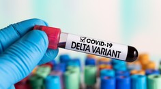 Indická mutácia covidu sa v Británii stala dominantnou. Je o 60 percent nákazlivejšia