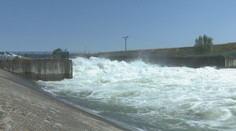 Unikátnu ramennú sústavu pozdĺž Dunaja začali zaplavovať. Cieľom je prinavrátiť živočíchy