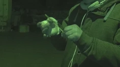 Na Slovensku sa objavujú nebezpečné narkotiká. Aj prvá dávka drogy môže byť smrteľná