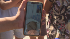 Chlapca (6) zasiahol brok vedľa srdca. Spúšť stlačil brat (4), vzduchovku našiel opretú o stenu