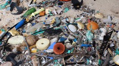 Igelitové tašky, fľaše, vrchnáky. Na neobývanom ostrove je 18 ton plastového odpadu