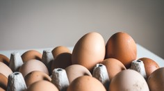 Vajcia pred Vianocami ešte zdražejú. Chovatelia hovoria až o cene 30 centov za kus