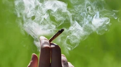 V Nemecku legalizujú marihuanu. Vláda schválila nákup aj držbu drogy