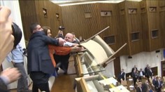 V parlamente kričala svine a hádzala stoličku. Teraz uzavreli jej prípad