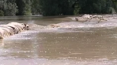 V Sabinove vyhlásili pre zvýšenú hladinu Torysy III. stupeň