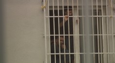 Viacerí migranti v záchytnom tábore v Medveďove držia protestnú hladovku. Sťažujú sa na zlé podmienky