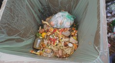 Niektoré samosprávy už začali s triedením kuchynského odpadu. O čo vlastne ide?