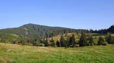 Požadujú zmenu. Ochranári na Poľane diskutovali o prepojení vedy a praxe