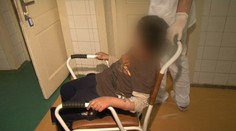 Chlapec vypadol v škole z okna. Dopadol ako mačka –  na nohy