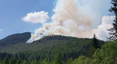 Škody po požiari vo Vysokých Tatrách sú obrovské: Všetko, čo nemalo krídla a nohy zhorelo
