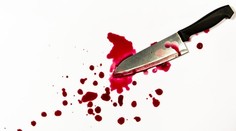 Bodla ho nožom cez pootvorené dvere. Česká dôchodkyňa v obrane zabila lúpežníka