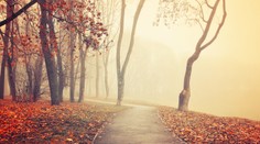 Počasie sa s nami v posledných dňoch doslova hrá a toto nás čaká budúci týždeň