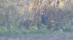 Na poľovačke postrelili ženu (†29) brokovnicou do chrbta, zraneniam podľahla