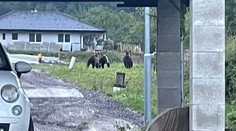 Medvede v dvore rodinného domu. Neďaleko Prievidze sa miestni boja vyjsť von