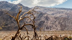 Na Zemi namerali zrejme najvyššiu teplotu v histórii