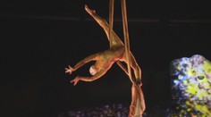 Na svoje si prídu nielen deti, ale aj dospelí. Na Slovensko zavítal legendárny Slnečný cirkus