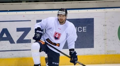 Zranenia mu už návrat nedovolili. Andrej Meszároš oznámil koniec kariéry