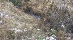 Polícia objasnila vraždu ženy v Pezinku