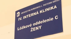 O hubárskej sezóne svedčia okrem plných košíkov aj desiatky otrávených Slovákov