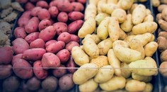 Bravčové líčka na hrachovom pyré s jabĺčkom pečenom v chrenovom džúse