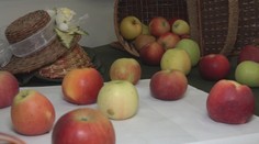 Ukážeme vám, ako vyzerá jablko roka 2021 a kto ho vypestoval