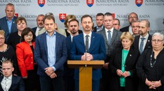 Ústavnoprávny výbor tvrdí, že rodinný balíček je v súlade s ústavou. Chcú sa zúčastniť pojednávania na súde