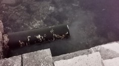 Video z Chorvátska: Keď toto turisti videli, nemali ani chuť okúpať sa v mori