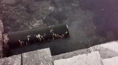 Video z Chorvátska: Keď toto turisti videli, nemali ani chuť okúpať sa v mori