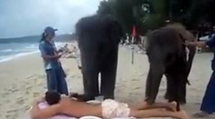 Thajská masáž? Slonie choboty v hlavnej úlohe (video)