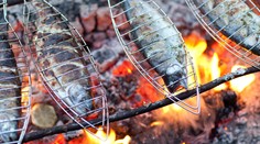 Pozor na skazené ryby! V Španielsku zabili dvoch dopelých a 14-ročné dievča